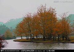 水岸山居采集到盆景