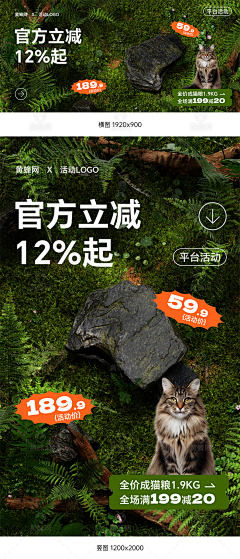 黄蜂网采集到宠物