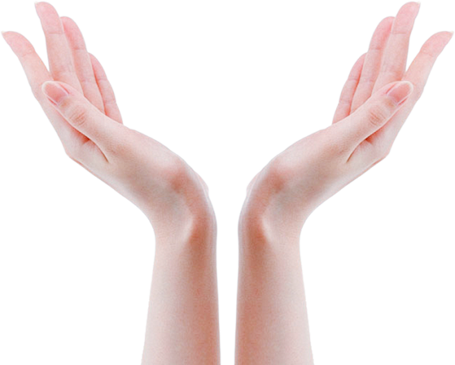 托举