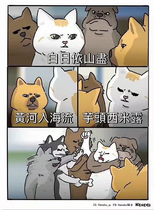代餐梗图