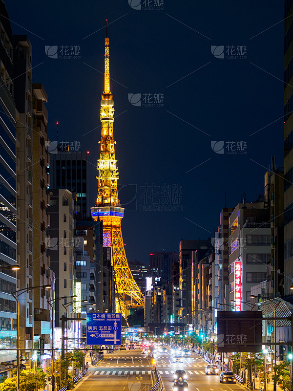 东京塔,夜晚,垂直画幅,地形,建筑,无人,日本,户外,观光船,城市