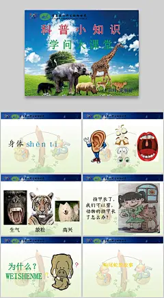 小学生百科知识科普动物生物自然科学宇宙安全幼儿园PPT课件教案(32).pptx文档下载