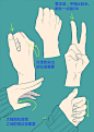 一些关于手的绘画技巧~~。画师：るりあ ​​​ ​（转） ​ via @P站画师 ​ ​​​​