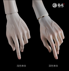 vpjWgN0k采集到人体