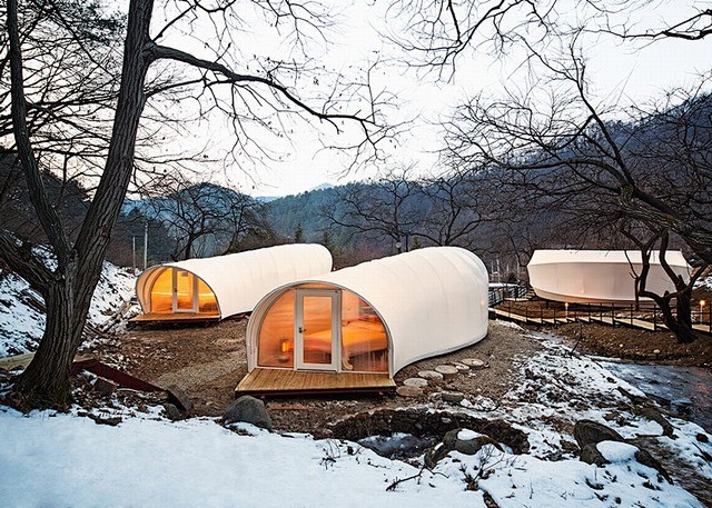 蠕虫帐篷与甜甜圈帐篷 Glamping ...