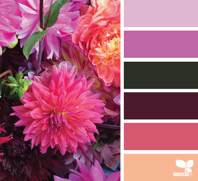 { flora palette }