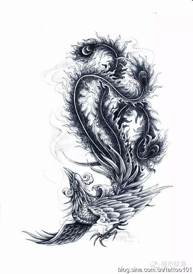 纹身图案手稿素材凤凰