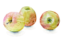 Apple wreath on Behance