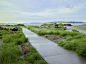 美国华盛顿，公共海滩景观 / Surfacedesign, Inc. – mooool木藕设计网