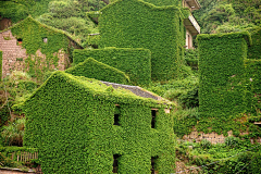 風の谷*采集到风景