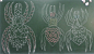 彩色大蜘蛛（教学黑板绘画-卡纸线描、彩色绘画形式任选）