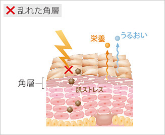 （図） ×乱れた角層