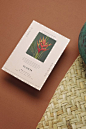 Planta Dives Deep Into Mother Earth For Its Design — The Dieline | Packaging & Branding Design & Innovation News