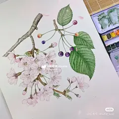 水彩---樱花-梨花-桃花-海棠花、梅花 - 高清图片，堆糖，美图壁纸兴趣社区
