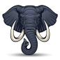 大象头。 在白色背景，#赞助，#头，#大象，#矢量，#背景，#白色#ad上的向量