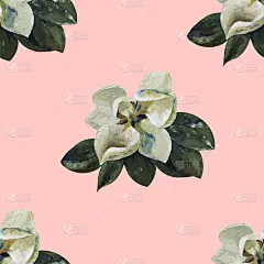 美丽的玉兰画亚克力无缝图案。手绘丛林自然，花卉插画。印刷纺织品，布料，墙纸，剪贴簿