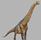 Giraffatitan, Mr Jack : In 2017 I was lucky enough to create a series of dinosaur illustrations for the London Natural History Museum, working with https://wearefraktal.com/