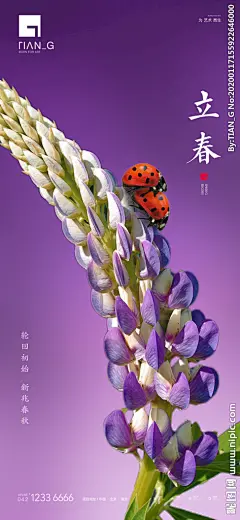 立春