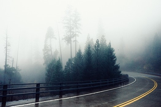 road fog bend foggy