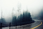 road fog bend foggy