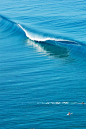 #lufelive @lufelive #surfing Tim McKenna #摄影比赛#