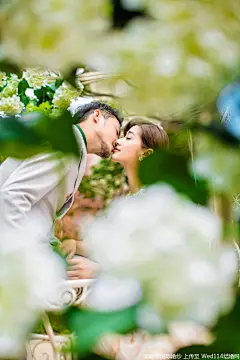 元一希尔顿-孔雀宫&amp;花开时节照片-元一希尔顿-孔雀宫&amp;花开时节图片-元一希尔顿-孔雀宫&amp;花开时节素材