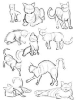 40 Free & Easy Animal Sketch Drawing Information & Ideas - Brighter Craft