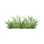 grass 21.png ❤ liked on Polyvore: 