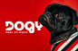 brand brand identity branding  Cat dog dogy Food  Pet petfood pets
