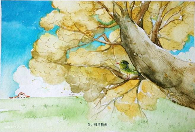小刺猬 原创插画欣赏