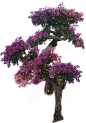 8b06f588999923c93b59388aca7e66251a2ac519bd06d-HzONCI