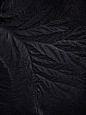 black ​​​​