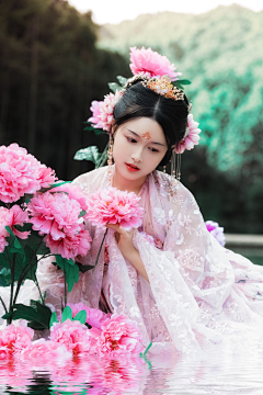 取道采集到花卉