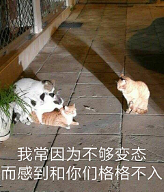 咪斯特·陈采集到表情包