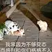 TIM图片20180607201705