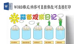 蓝色简约手绘蒜苗植物生长蒜苗观察日记成长日记手抄报