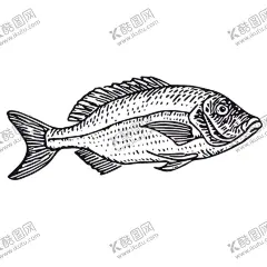 海洋生物鱼类图案 【酷图网】螃蟹,海洋生物,肉食动物,水生动物,鱼类,海鲜,鲨鱼,鲸鱼,鱿鱼,素描,绘画,创意,插画,图片,图谱,生物,科学研究,线条,海马,龙虾,水母,海葵