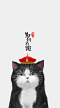 吾皇 #猫#