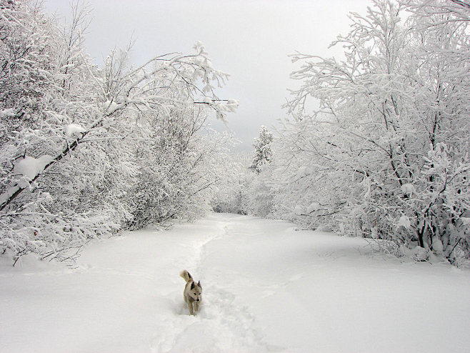 Forest Fairy Tale
Тю...