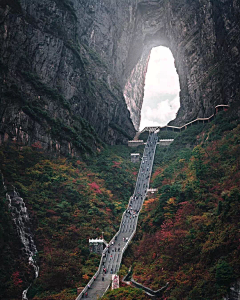 小倩咧采集到景观