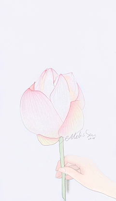 Melissa00采集到Melissamine画