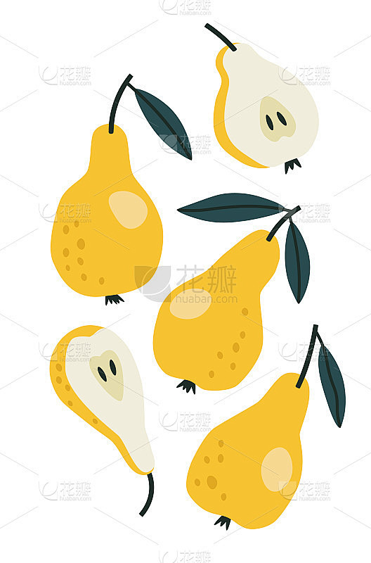 黄色的梨和一半的梨的矢量插图。手绘。