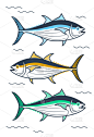 直的,鲔鱼,白色,黄色,海产,食品,图像,海洋,大西洋,动物