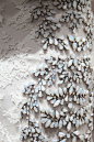 girlannachronism：的Giambattista Valli的2012年春季时装的细节 钉珠