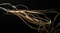 motion particles simulation art design Render Style digital CG CGI
