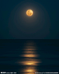 中秋节海上升明月图片