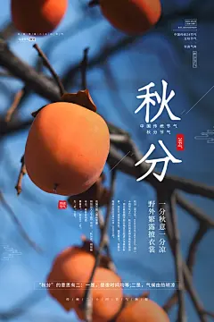 创意大气秋分节气海报设计