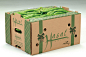 食品包装-HASAL辣椒（土耳其）-优秀包装展品-包联网-中国包装设计与包装制品门户网