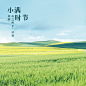 小满节气祝福问候夏季实景方形海报