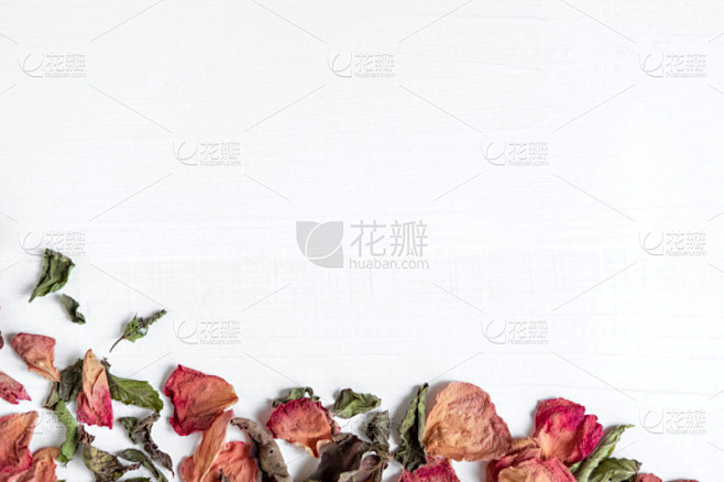 边框,背景,在上面,叶子,建筑工地,贺卡...